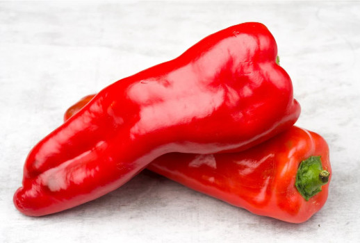 Bright red bell pepper (chile pimiento rojo). "Beyond organic," regenerative, and sustainable cultivation.