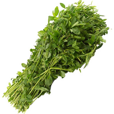 Organic Chipilín leaves. Sustainable, regenerative cultivation. Supports cardiovascular and eye health. Rich nutrient profile.