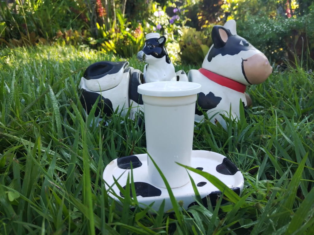 Pastured, sustainable cream. Regenerative cultivation, rich in healthy fats for bone and immune wellness.