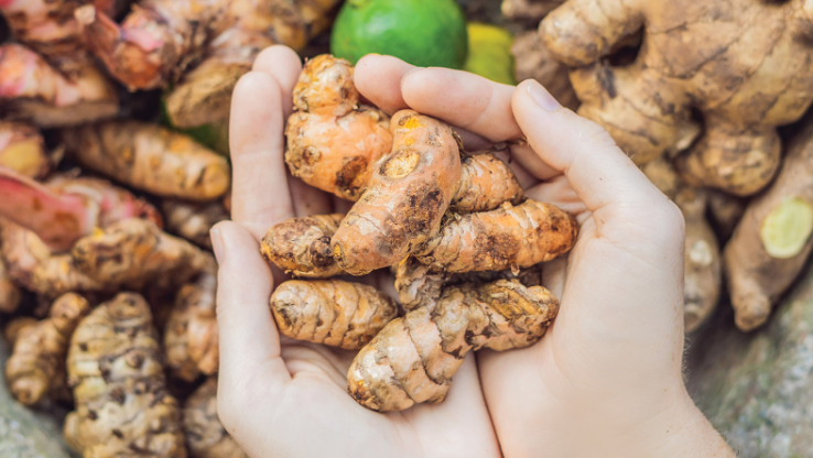 "beyond organic" sustainable fresh turmeric rhizomes. Regenerative, anti-inflammatory, supports joint and immune wellness.