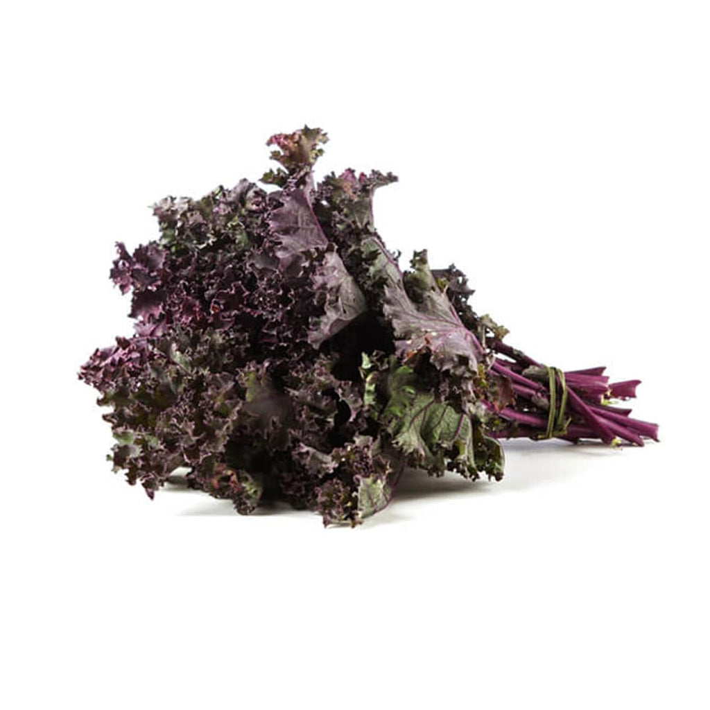 Organic Purple Curly Kale (Kale Colocho Morado) from sustainable, regenerative cultivation. Supports heart and cardiovascular health.
