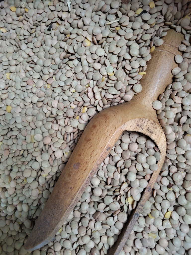 Organic dry lentils (Lentejas). Sustainable, regenerative cultivation. High in fiber, supports heart health and blood sugar control.