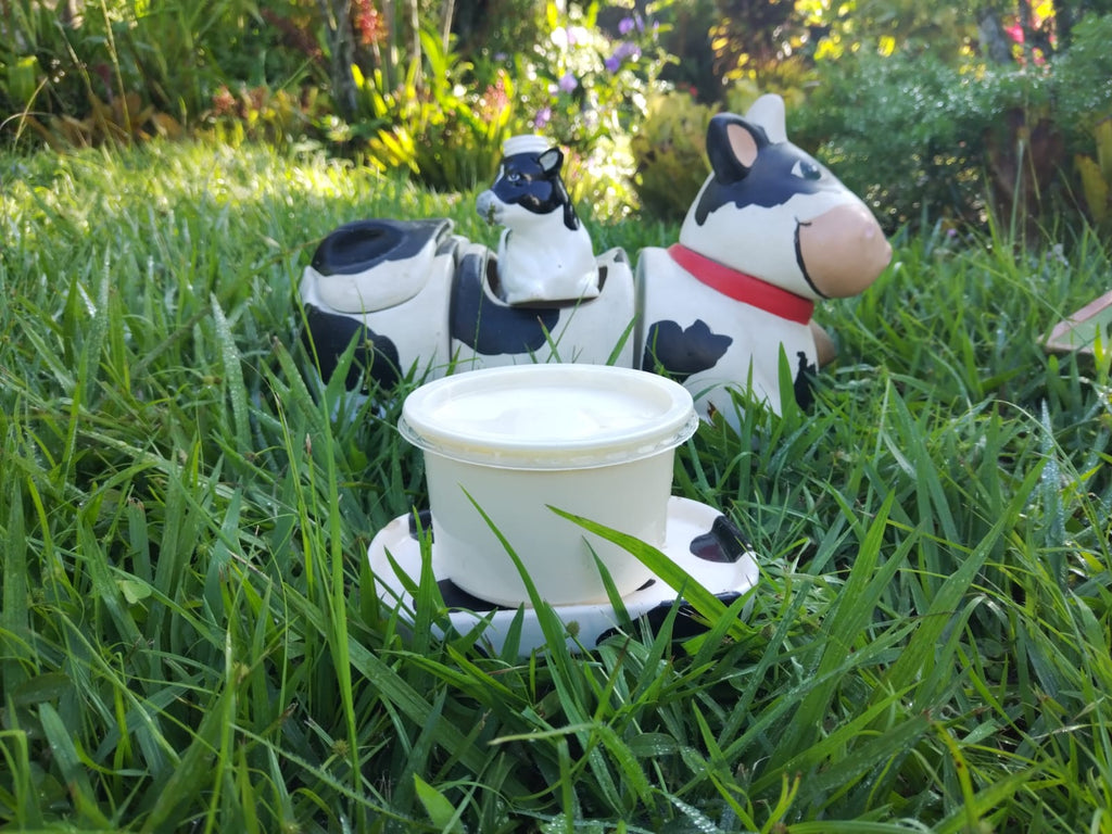 Pastured sustainable butter. Regenerative cultivation, rich in healthy fats for immune wellness and healthy vision.