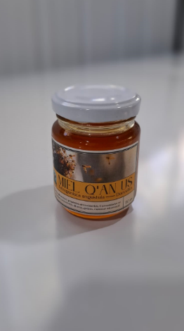 Sustainable Melipona honey for ancestral healing. Regenerative, anti-bacterial, supports respiratory and eye wellness.
