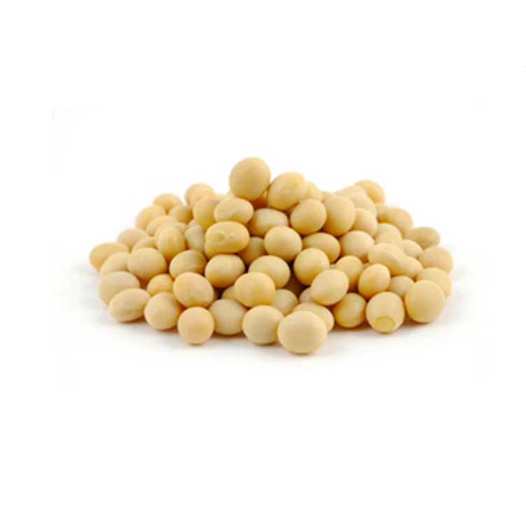 Organic dry soy beans (Soja Grano). Sustainable, regenerative cultivation. High quality protein, supports heart and bone health.