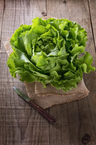 Fresh head of organic Butter Lettuce (Lechuga Mantequilla). Regenerative and sustainable greens for bone and eye wellness.