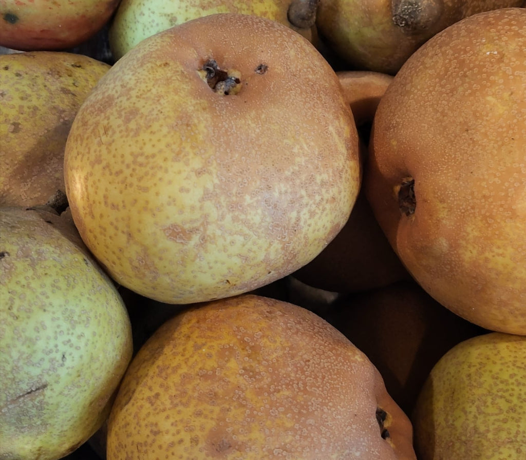 Fresh, organic pears. Regenerative and sustainable cultivation for heart and immune wellness.