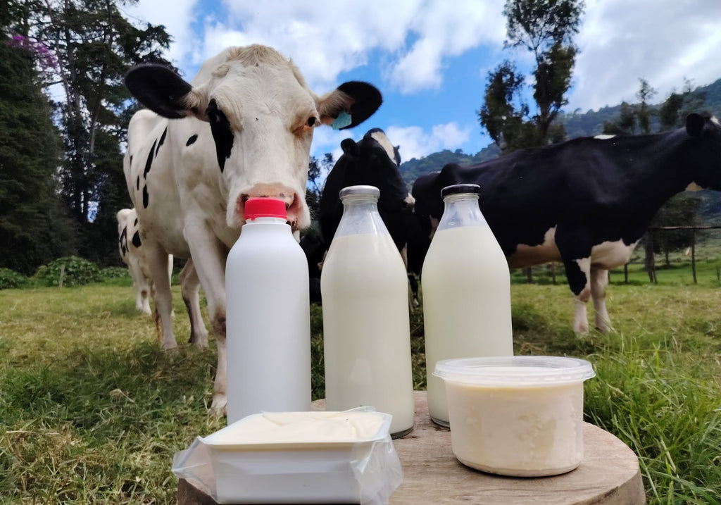 Pastured sustainable milk, cream and butter, regenerative, nutrient dense, healthy