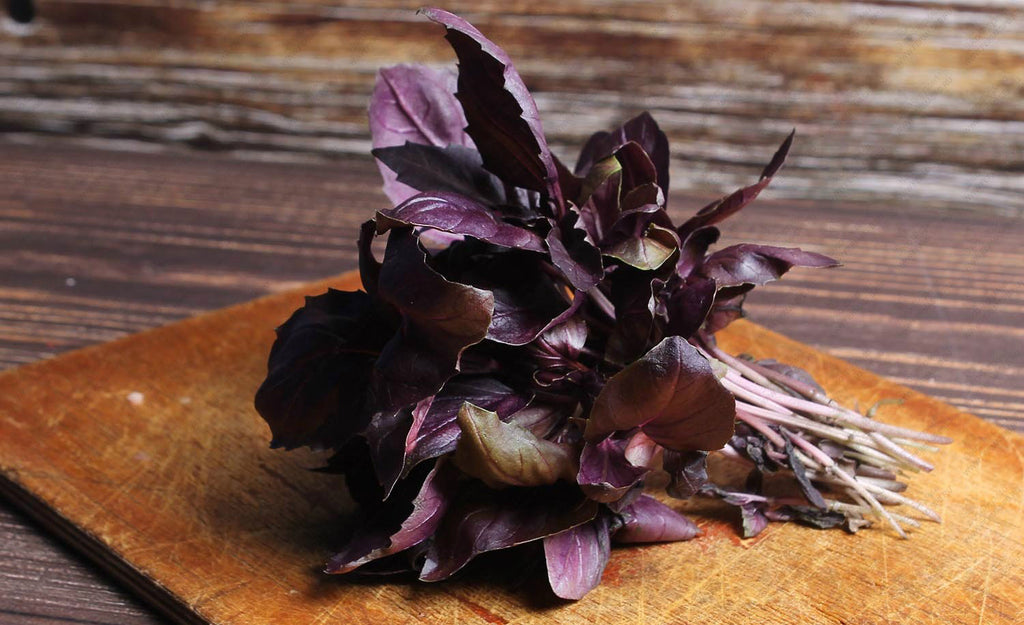 Organic Albahaca Morada (Purple Basil) from sustainable, regenerative cultivation. May help with stress and relaxation.