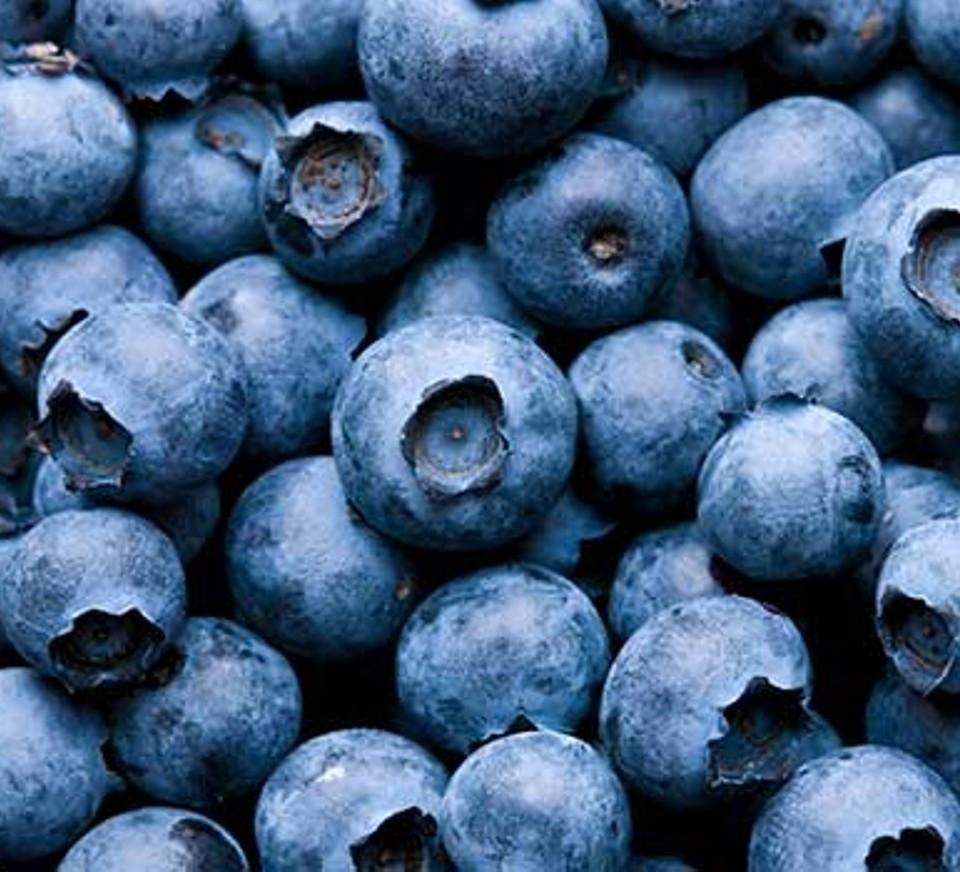 Organic blueberries (Arándano Orgánico). Sustainable, regenerative cultivation. Supports immune and brain function and blood pressure regulation.