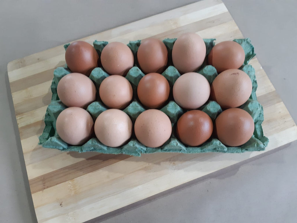 Organic pasture-raised eggs. Sustainable, regenerative cultivation. Supports immune function and bone/eye health.