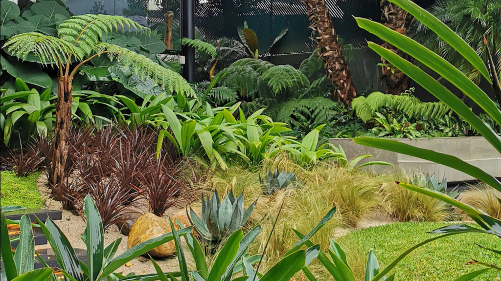 Organic gardening service, healthy, nutrient-rich soil and vibrant plants.