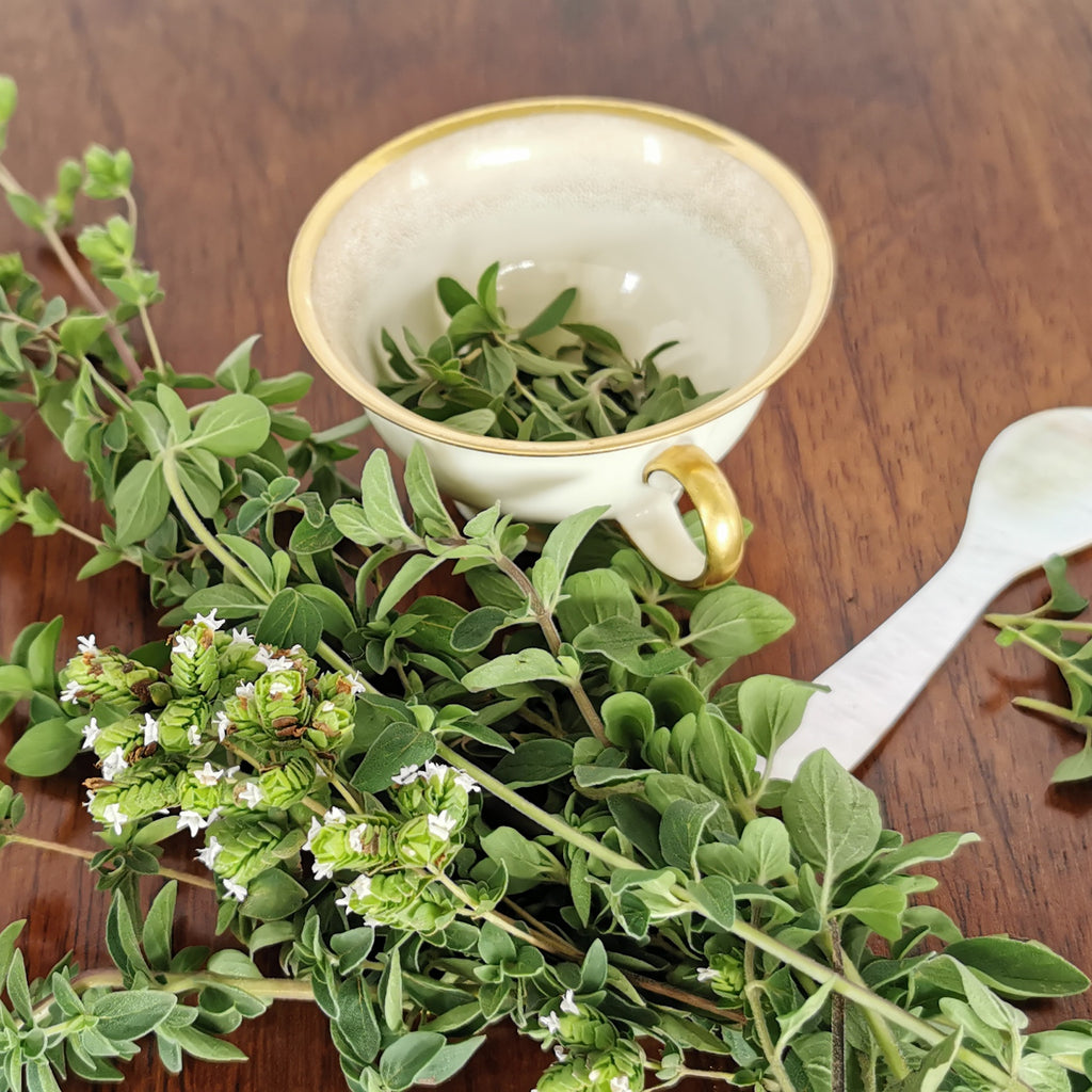 Organic oregano herb from sustainable, regenerative cultivation. Anti-inflammatory and supports digestive health.