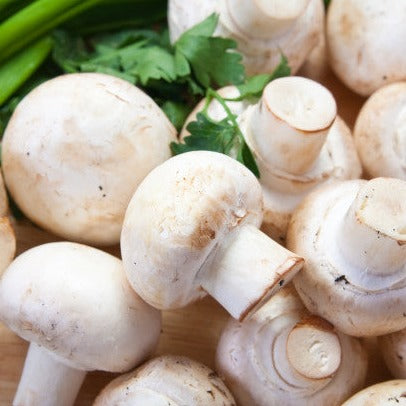Cluster of fresh organic Champiñon mushrooms. Regenerative cultivation ensures nutrient rich, ethical sourcing.