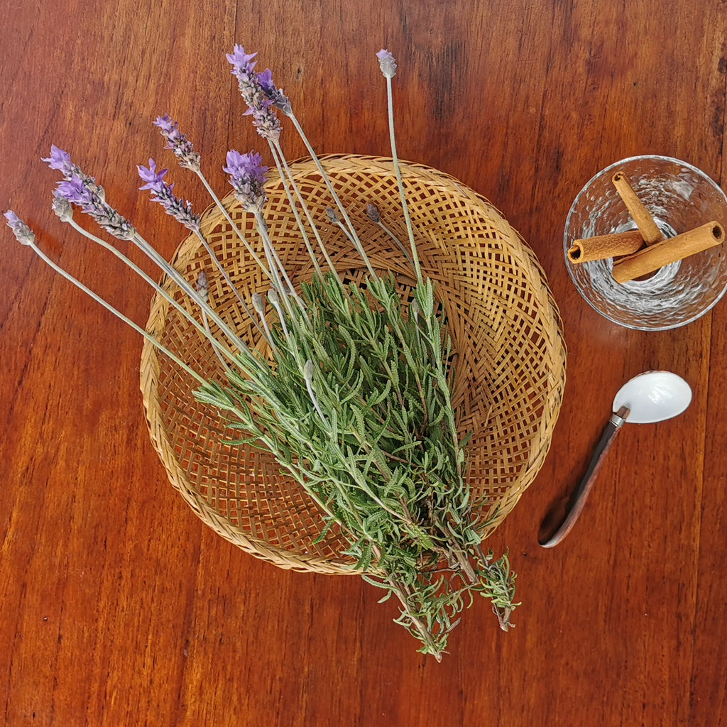 Organic Lavender flowers and stems. Regenerative cultivation promotes relaxation and anti-inflammatory wellness.