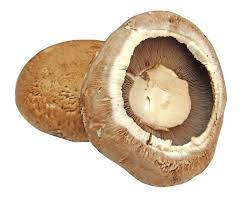 Whole, fresh organic Portobello mushrooms. Regenerative cultivation ensures nutrient dense, sustainable, ethical sourcing.