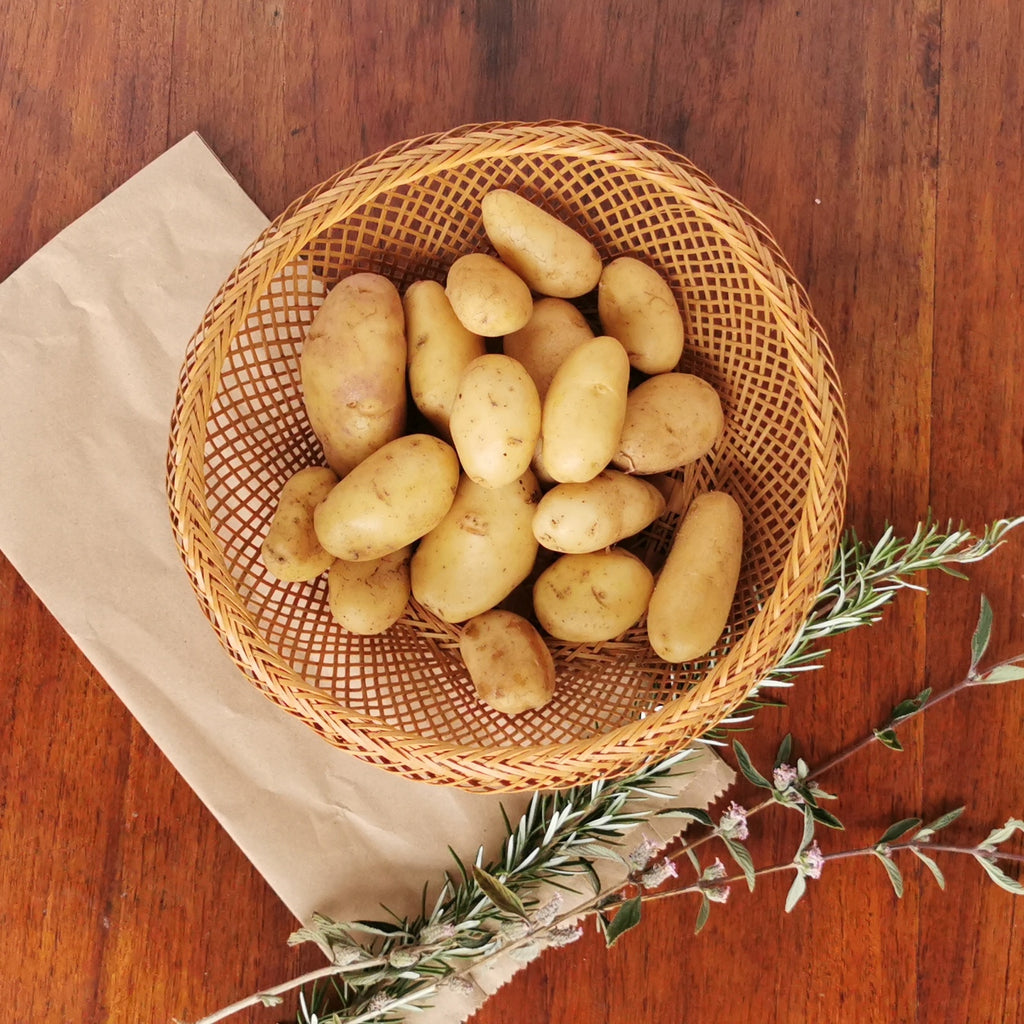 Beyond organic sustainable potatoes. Regenerative cultivation, nutrient dense, anti-oxidant for skin wellness.