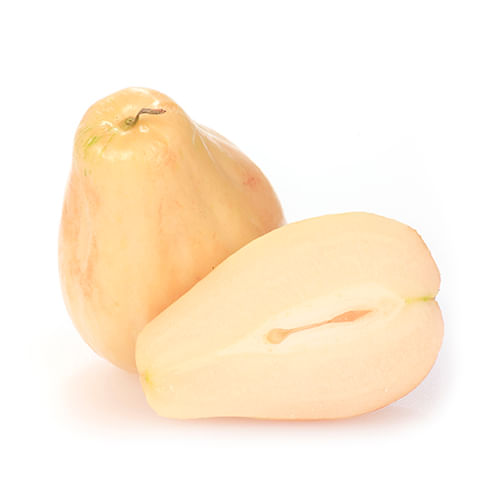 Fresh, plump "beyond organic" Perulero vegetable. Regenerative and sustainable cultivation for immune wellness.