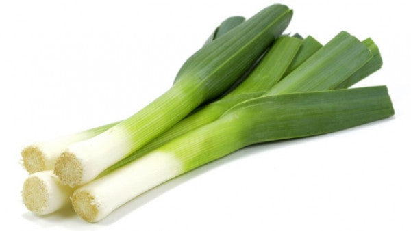 Organic Puerro (Leek). Sustainable, regenerative cultivation. High in fiber and supports blood glucose regulation.