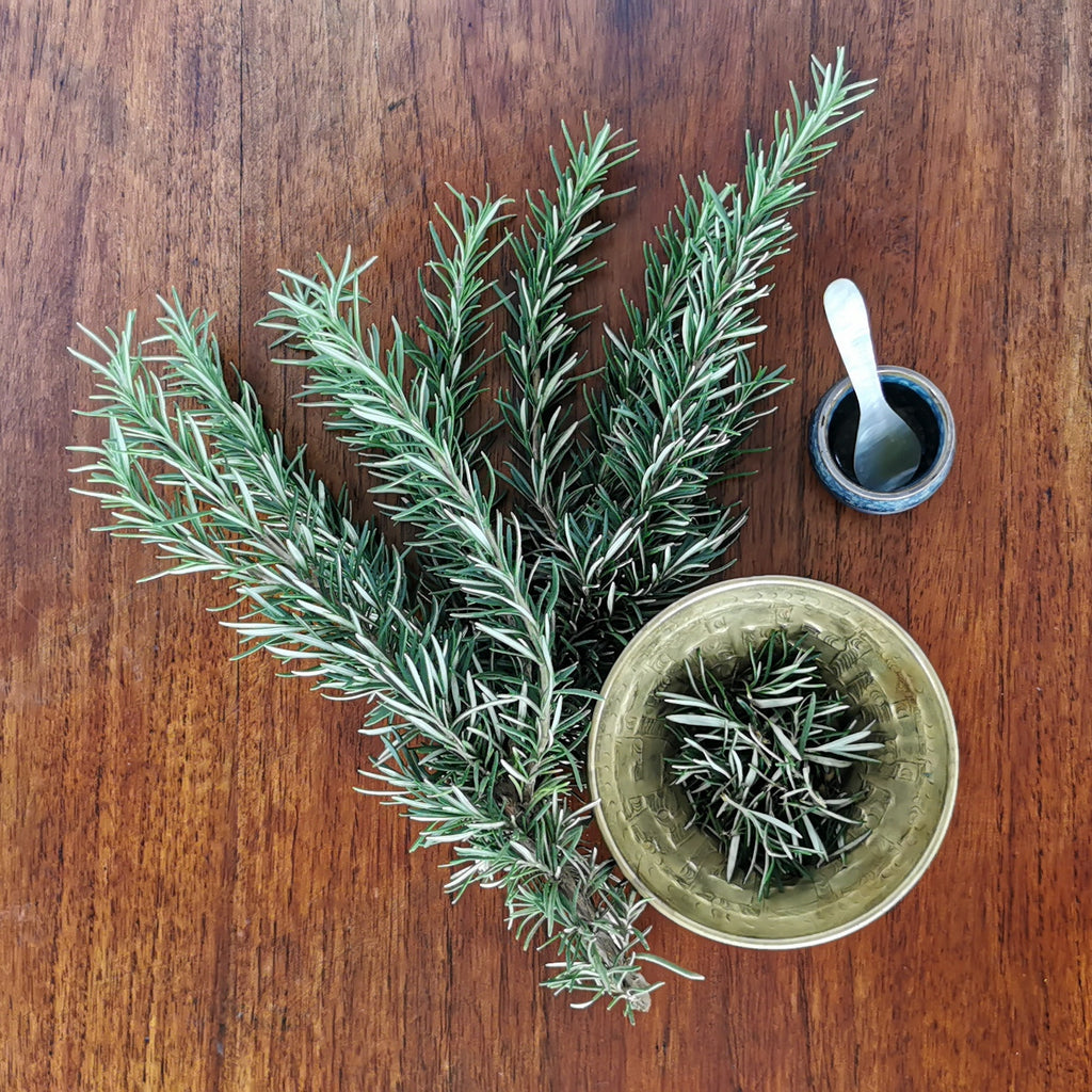 Organic Rosemary (Romero). Sustainable, regenerative cultivation. Anti-inflammatory and supports digestive health.
